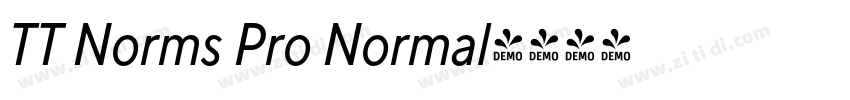 TT Norms Pro Normal字体转换